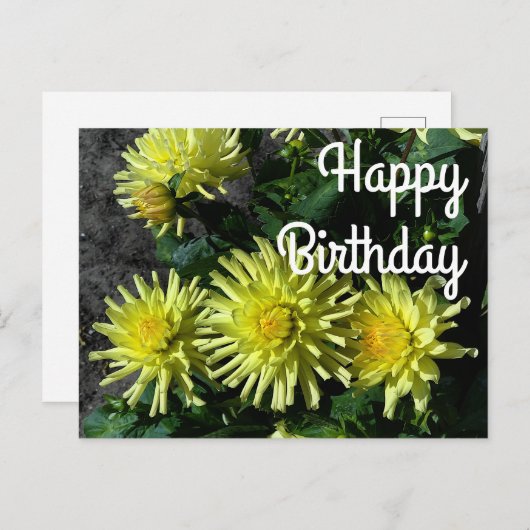 Verjaardagswensen Dahlia Lakeview Glow #1 Ansichtk Briefkaart (Voorkant / Achterkant)