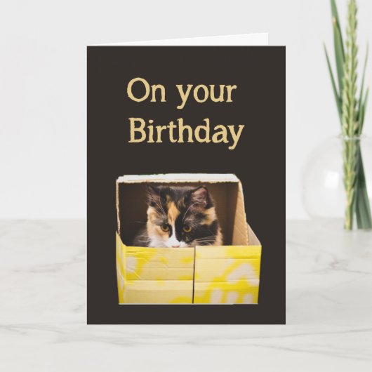 Verjaardagswensen Happy as Cat in Box Fun Kaart (Voorkant)