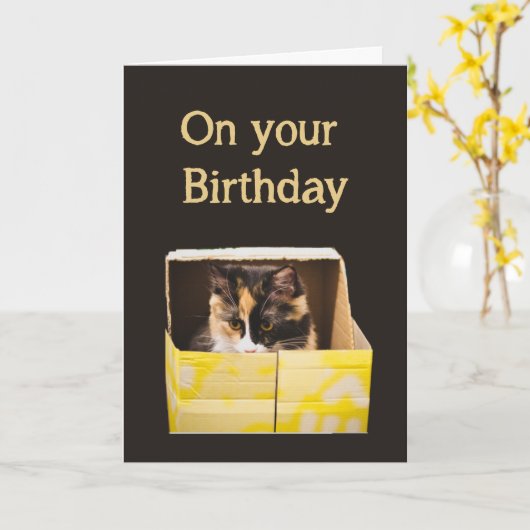 Verjaardagswensen Happy as Cat in Box Fun Kaart (Gele Bloem)