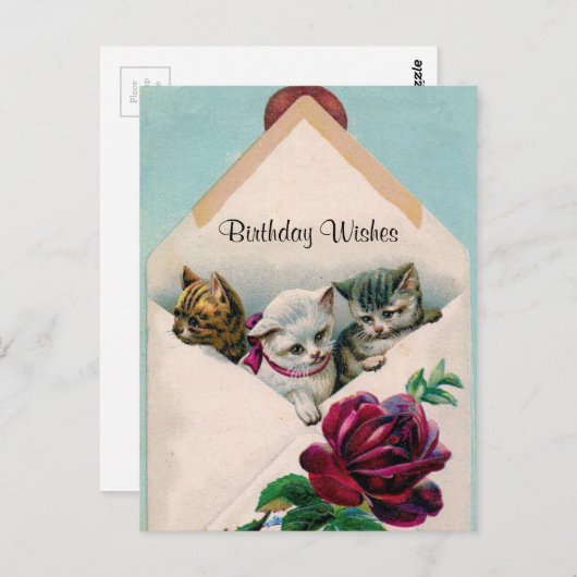 Verjaardagswensen - Kittens in envelop - Post Kaar Briefkaart (Voorkant / Achterkant)