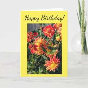 Verjaardagswensen met oranje dahlia's kaart