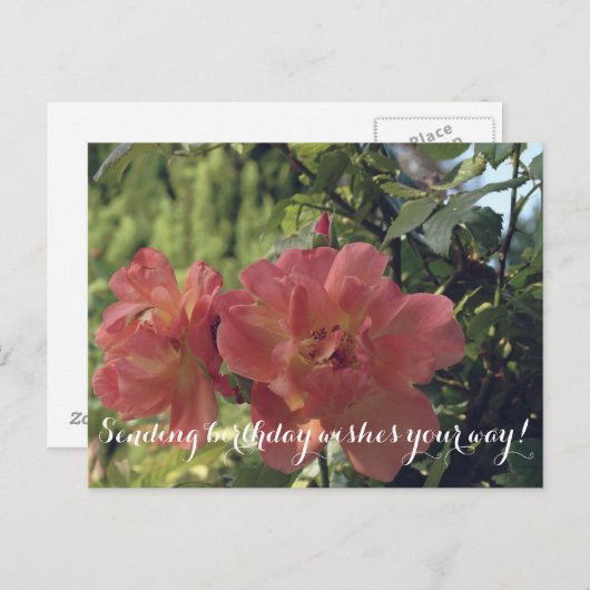 Verjaardagswensen Rozen Briefkaart (Voorkant / Achterkant)