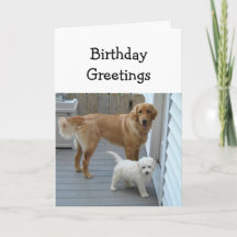 Verjaardagswensen van de groepshuisdierhond Humor