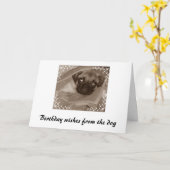 Verjaardagswensen van de hond kaart (Gele Bloem)