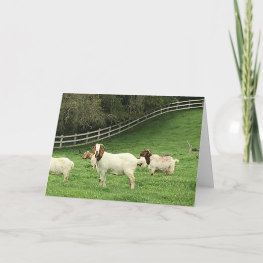Verjaardagswensen voor geiten kaart (Voorkant)