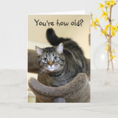 Verjaardagswensen voor geschokte kat kaart (Gele Bloem)