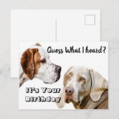 Verjaardagswensen voor honden briefkaart (Voorkant / Achterkant)