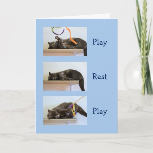 Verjaardagswensen voor kattenmensen kaart (Voorkant)