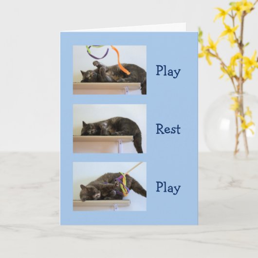 Verjaardagswensen voor kattenmensen kaart (Gele Bloem)