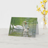Verjaardagszwaan met cygnet in vijver kaart (Gele Bloem)