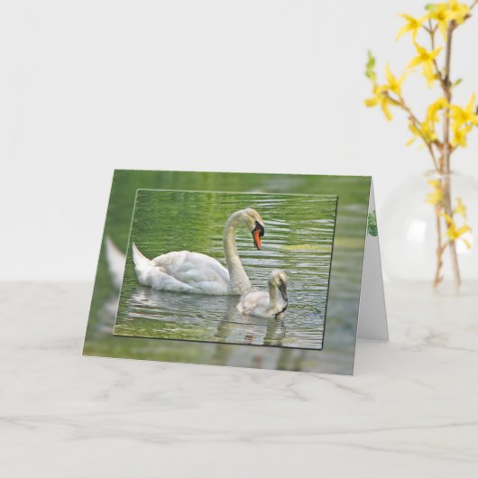 Verjaardagszwaan met cygnet in vijver kaart (Gele Bloem)
