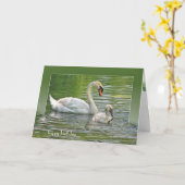 Verjaardagszwaan met cygnet in vijver kaart (Gele Bloem)