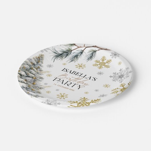 Verjaardagwinter Papieren Bordje (Gekanteld)