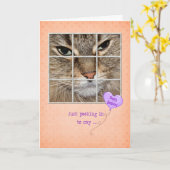 Verjaardkat in het raam kaart (Gele Bloem)