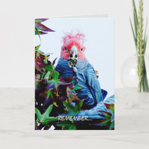 Verjaarkaart met Gang Gang Cockato (vogel) Kaart