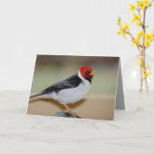 Verjaarkaart met geelkopkardinaal kaart (Gele Bloem)