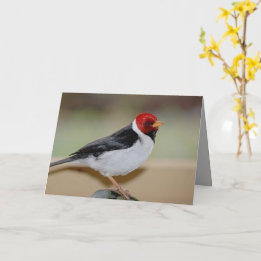 Verjaarkaart met geelkopkardinaal kaart (Gele Bloem)