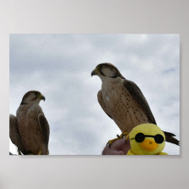 Verkeerde plaats verkeerd Poster tijd