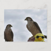 Verkeerde tijd van plaats verkeerd