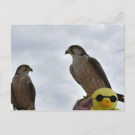 Verkeerde tijd van plaats verkeerd briefkaart