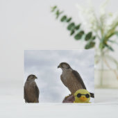 Verkeerde tijd van plaats verkeerd briefkaart (Staand voorkant)