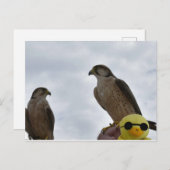 Verkeerde tijd van plaats verkeerd briefkaart (Voorkant / Achterkant)