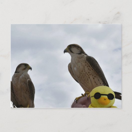 Verkeerde tijd van plaats verkeerd briefkaart (Voorkant)