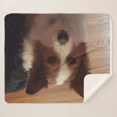 Verkeersdag Sherpa Deken (Voorkant (horizontaal))