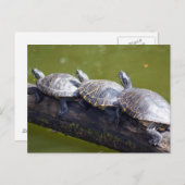 Verkeersjam Briefkaart (Voorkant / Achterkant)