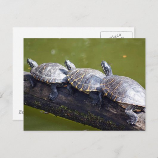 Verkeersjam Briefkaart (Voorkant / Achterkant)