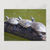 Verkeersjam Briefkaart (Voorkant)