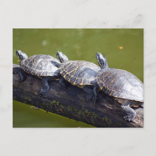 Verkeersjam Briefkaart (Voorkant)