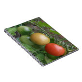 Verkeerslicht Tomaten Notitieboek (Rechterzijde)