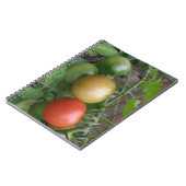 Verkeerslicht Tomaten Notitieboek (Linkerzijde)