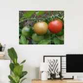 Verkeerslicht Tomaten Poster (Thuiskantoor)