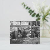 Verkeersongeval, Los Angeles, Vintage 1951 Briefkaart (Staand voorkant)