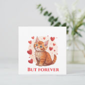 Verken Maine Coon kattenredding bij mij in de buur Feestdagenkaart (Staand voorkant)