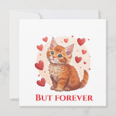 Verken Maine Coon kattenredding bij mij in de buur Feestdagenkaart (Voorkant)