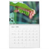 Verken Ohio Outdoors Caterpillar Kalender 2e ed (Mar 2026)