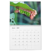 Verken Ohio Outdoors Caterpillar Kalender 2e ed (Mar 2027)