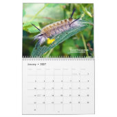 Verken Ohio Outdoors Caterpillar Kalender 2e ed (Jan 2027)