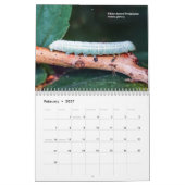 Verken Ohio Outdoors Caterpillar Kalender 2e ed (Feb 2027)