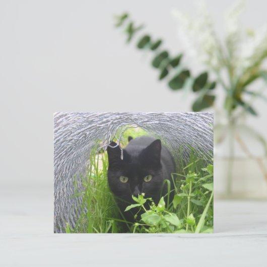 Verkennen Briefkaart (Staand voorkant)