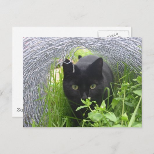 Verkennen Briefkaart (Voorkant / Achterkant)