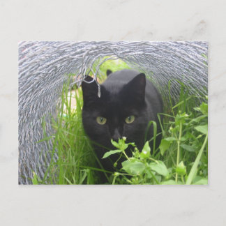 Verkennen Briefkaart