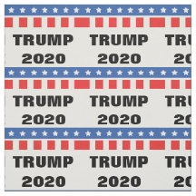 Verkiezing van het Trump-President 2020