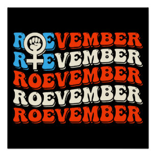 Verkiezingen van 24 november perfect poster