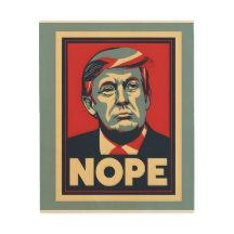 Verkiezingscampagne van Nope Trump