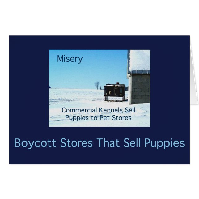 Verkisten (Voorkant Horizontaal)