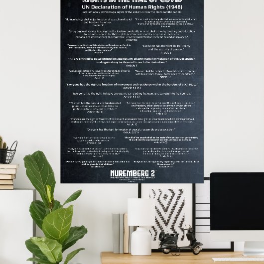 Verklaring van de VN over de mensenrechten 1948 -  Poster (Thuiskantoor)